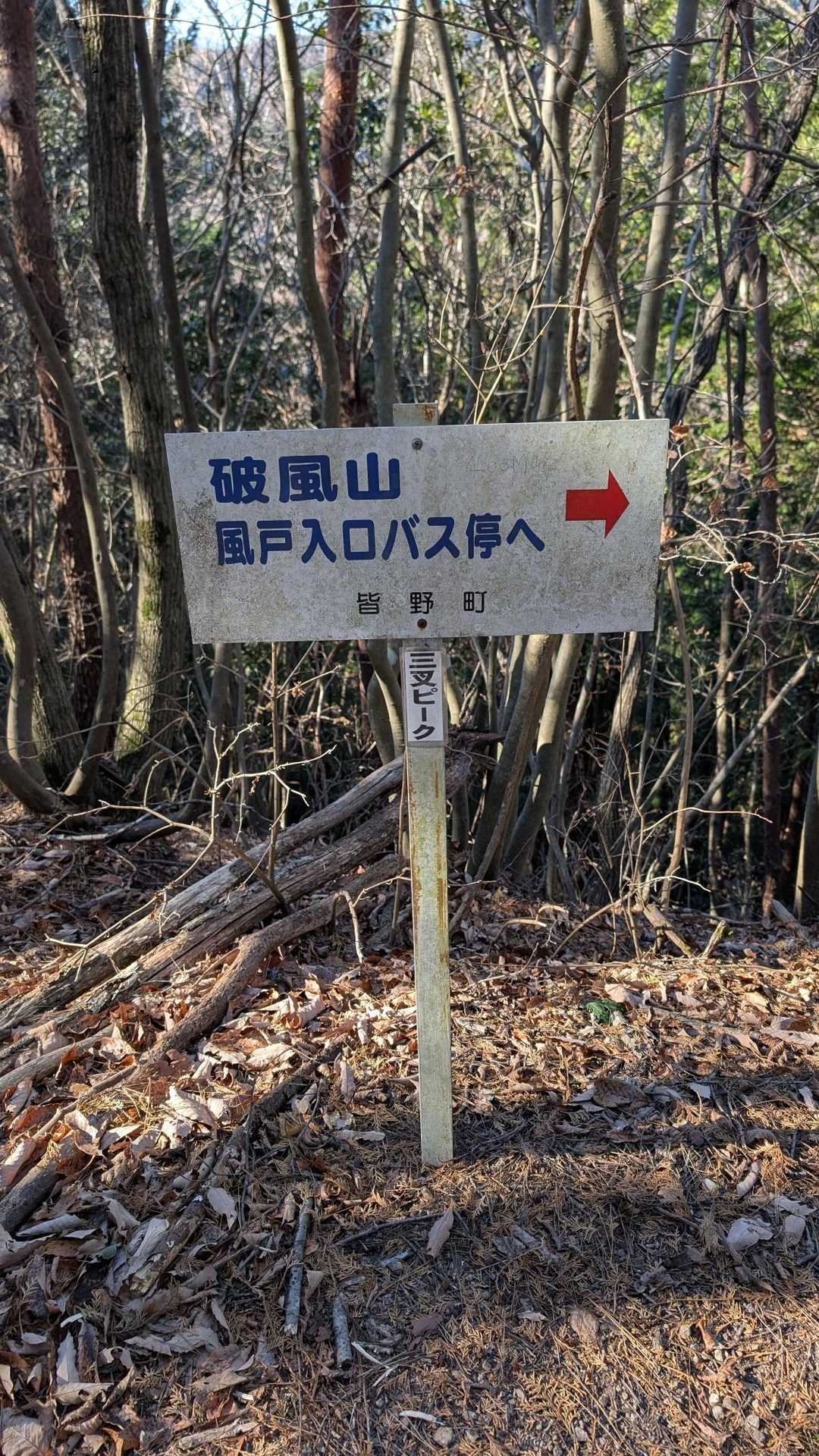 三叉ピーク