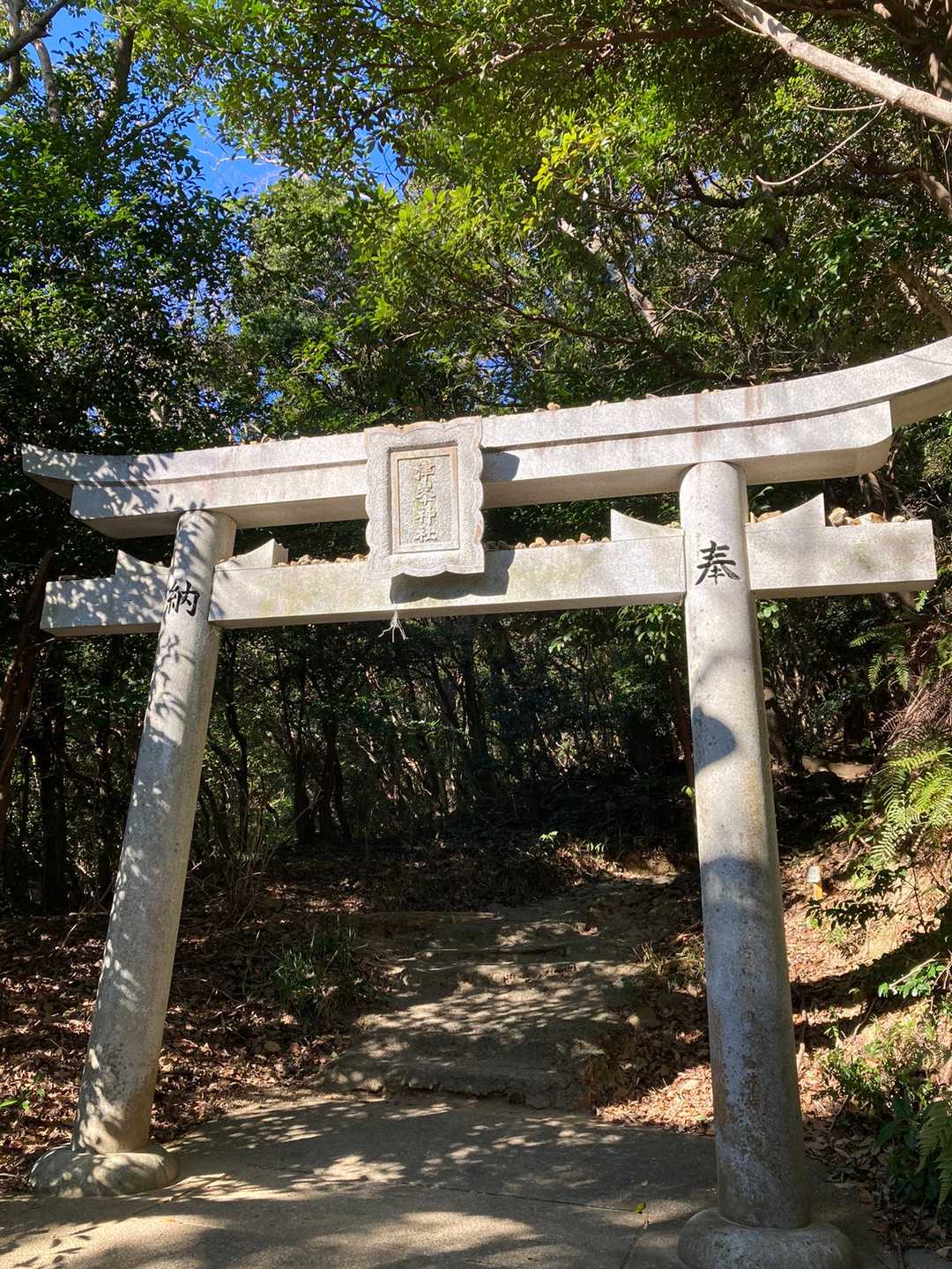 表？裏❓どっちから行こ？