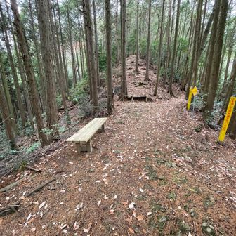 ありがたいベンチ