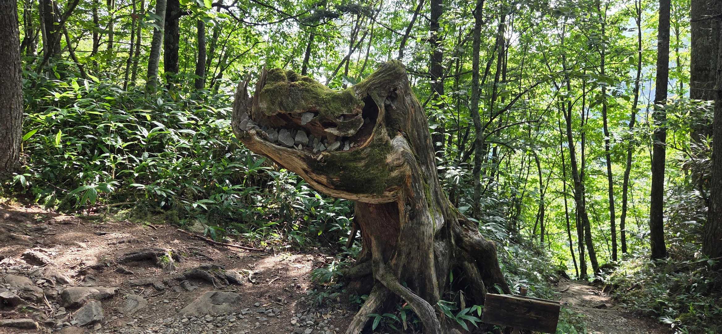 三股登山口-蝶ヶ岳-蝶槍-常念岳-前常念岳 周回コースの写真