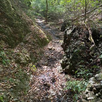 この辺は、筑波山を彷彿させました。