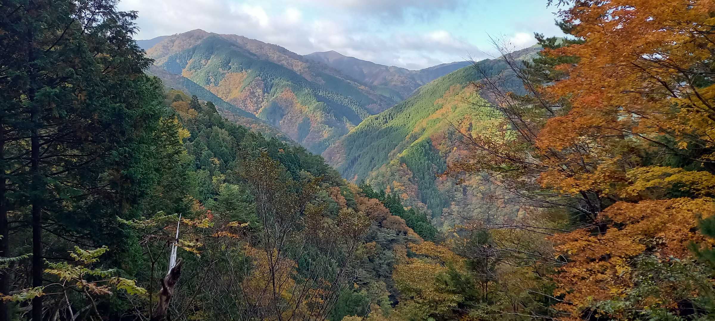 🗻が絵の具のバレット