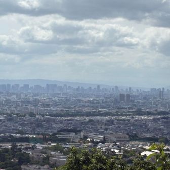 大阪市ビル群