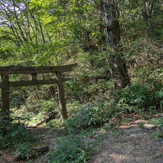 「シュラインロード」の入口にあたる地に位置する鳥居。今回、この道を下って来たので出口となる。ここから古寺山に登ったが、山に登らず谷に沿って１キロ余り下ると四鬼山伏の総家がある。四鬼総家は修験道の開祖「役行者」に仕えた鬼の末裔とされる一族。奈良県天川村の洞川から1300年程前に唐櫃に移住してきて六甲山の山岳信仰の管理や修験者のお世話（修験宿）をしていたらしい。また、唐櫃の人たちは昔から役行者を信仰しており、先達が７、８歳くらいの子供を連れて大峰山へ役行者参りをする習慣があったそうだ。