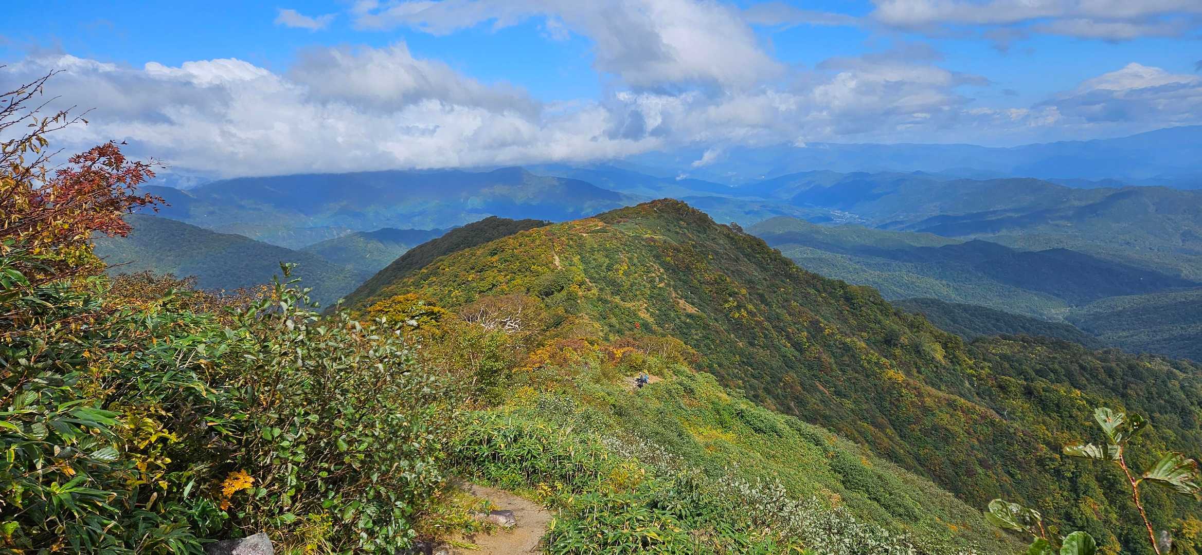 古寺鉱泉登山口-古寺山-小朝日岳 往復コースの写真