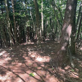 早々に下山開始。