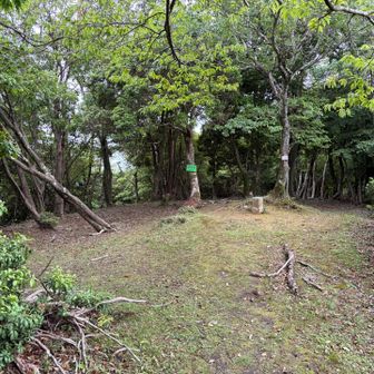 横尾山山頂の様子