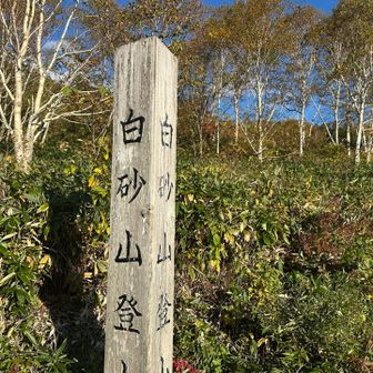 ただいま！！レンジャーさんは勿論居ませんでした(笑)
