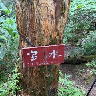 ほとんど涸れてる