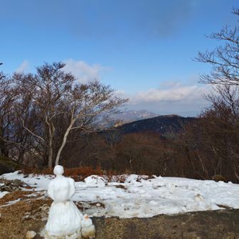 なんだ！　あの雪だるまは👻
　