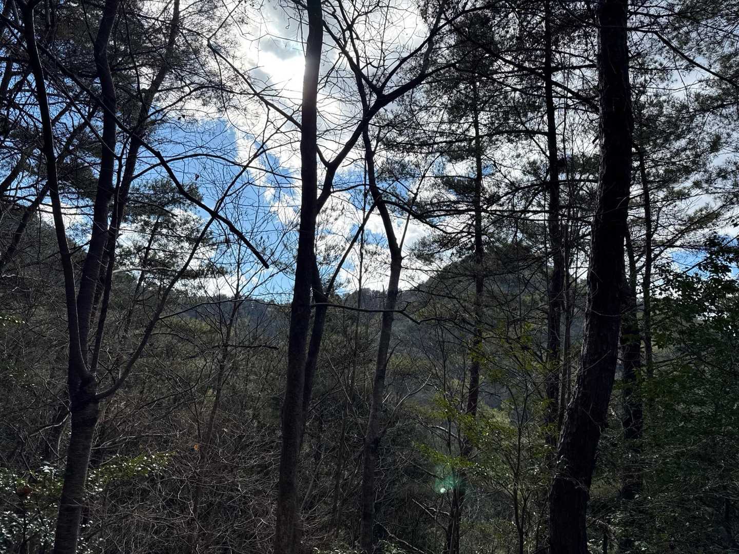 歩いた下勝成山(右)から上勝成山(左)への稜線