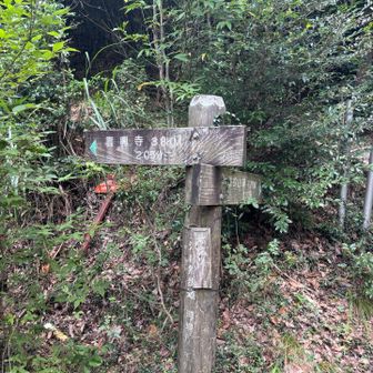 赤猿峠
ここからまた知らない道へ