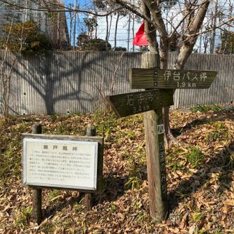 瀬戸風峠　峠周辺が南白水って宅地になってるし　　　　
　どれだけ久しぶりなのやら