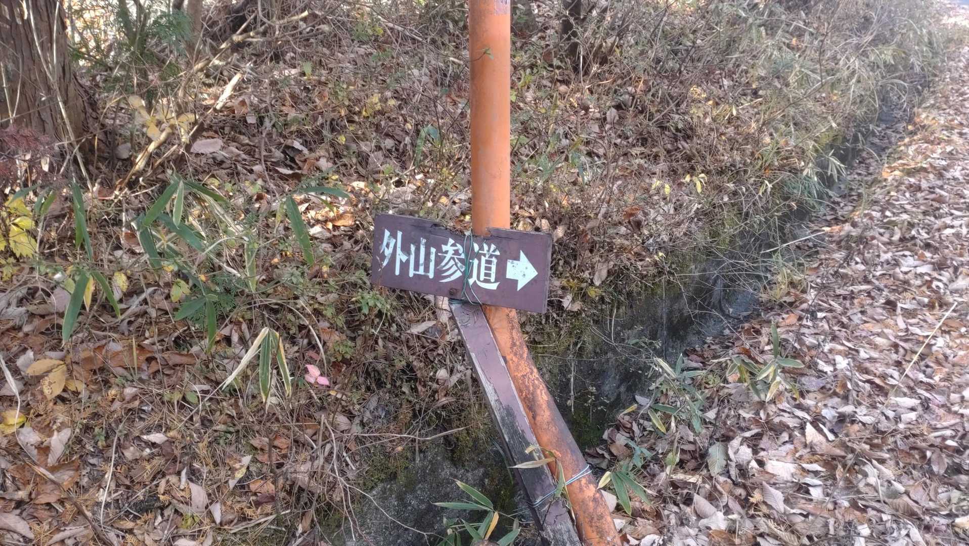 外山 往復コースの写真