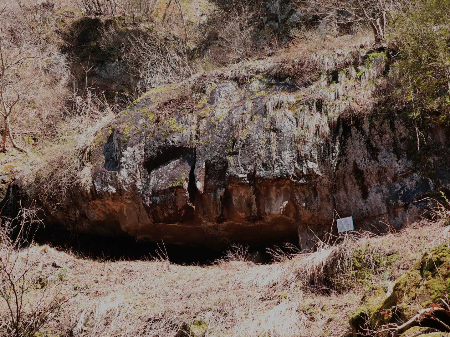 権現山 周回コースの写真