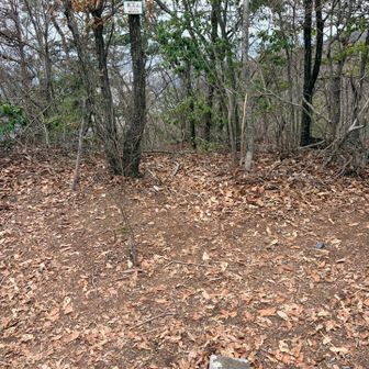 医王山の山頂。
眺望なし😅