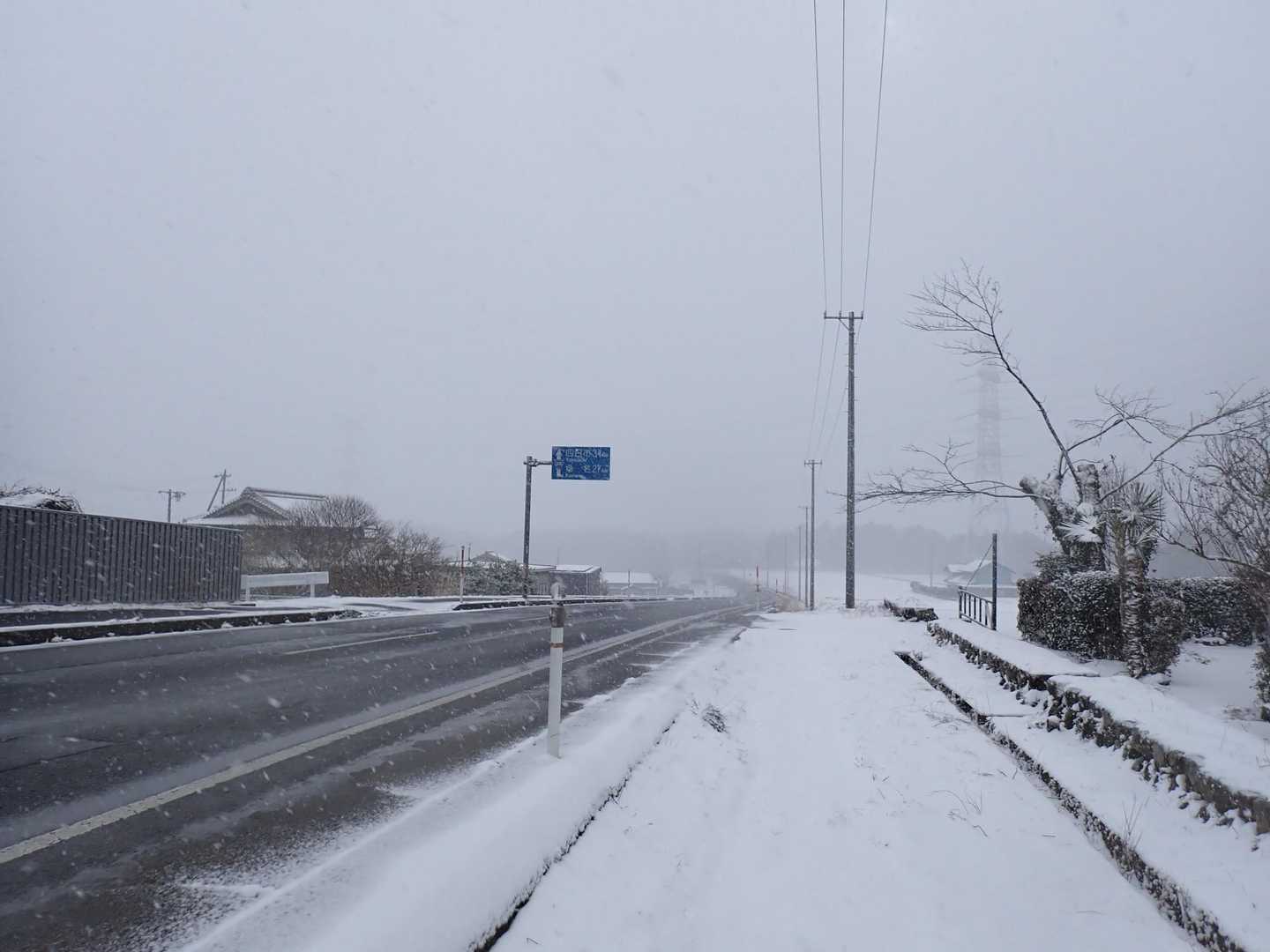 麓も雪になっていました