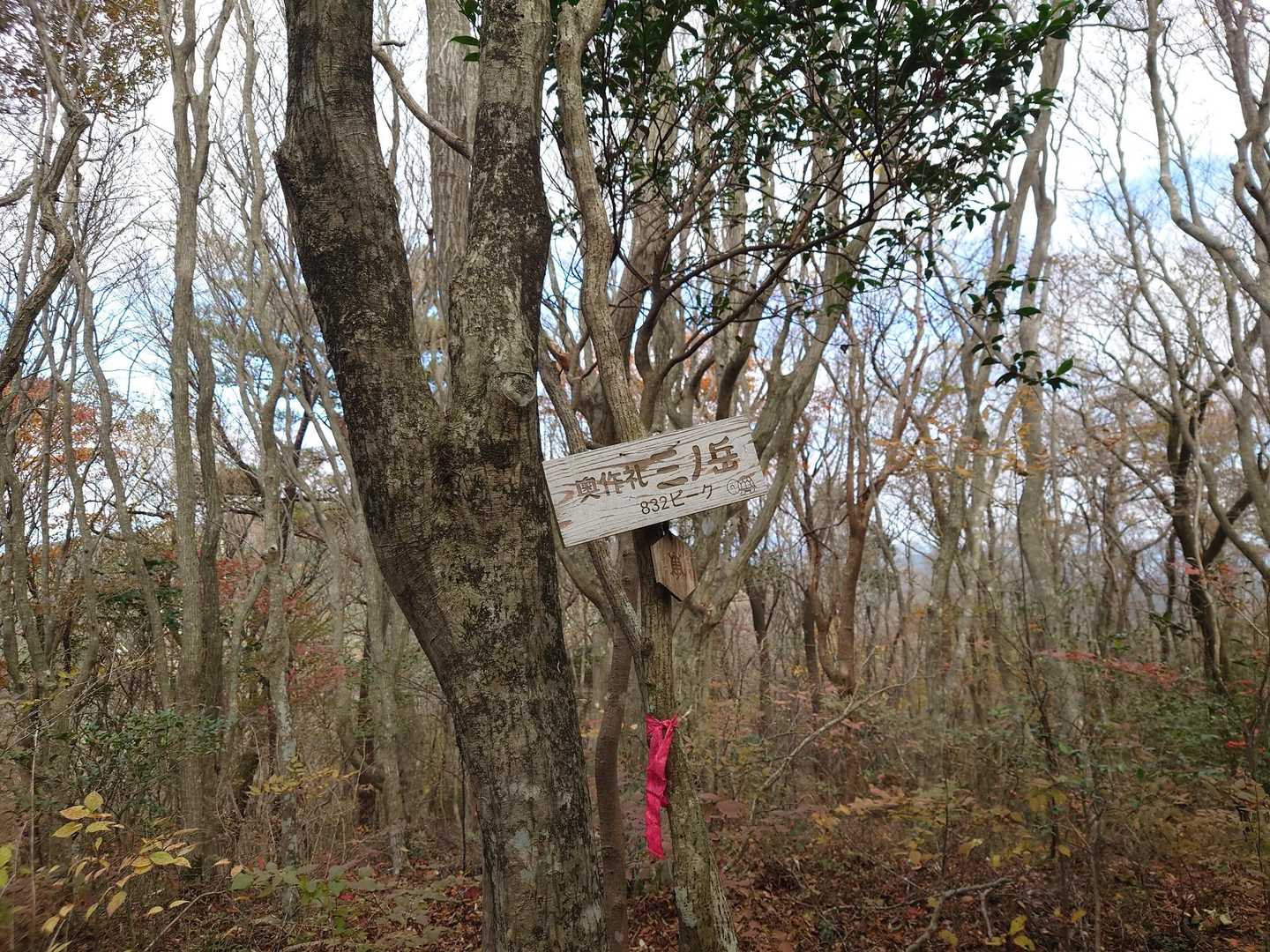 奥作礼三ノ岳⛰️