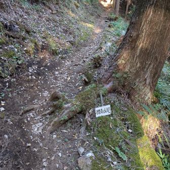 足下になんかあると見たら標高表示。