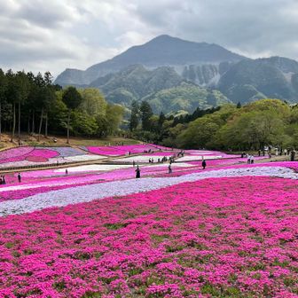 コージ