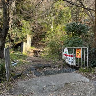 トレイルの時間です