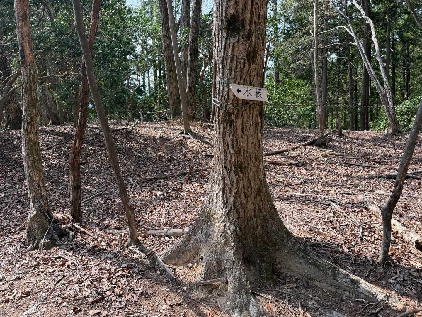 鷹ノ巣山-水根山-城山-六ツ石山-長尾ノ頭 周回コースの写真