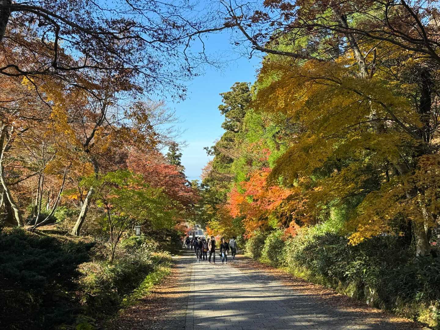 参道まで降りてきました