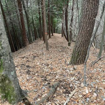 そんで、また下る…。