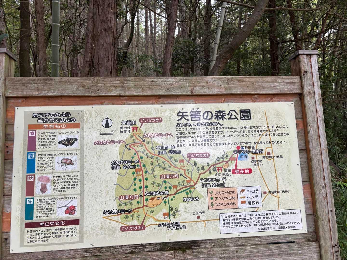 公園になってます🌳