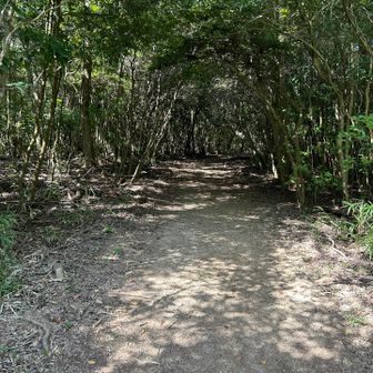 北嶺に行く道は通行止めになってる箇所あり。
広場があってそこから行きます。
こもれびトンネル😊
