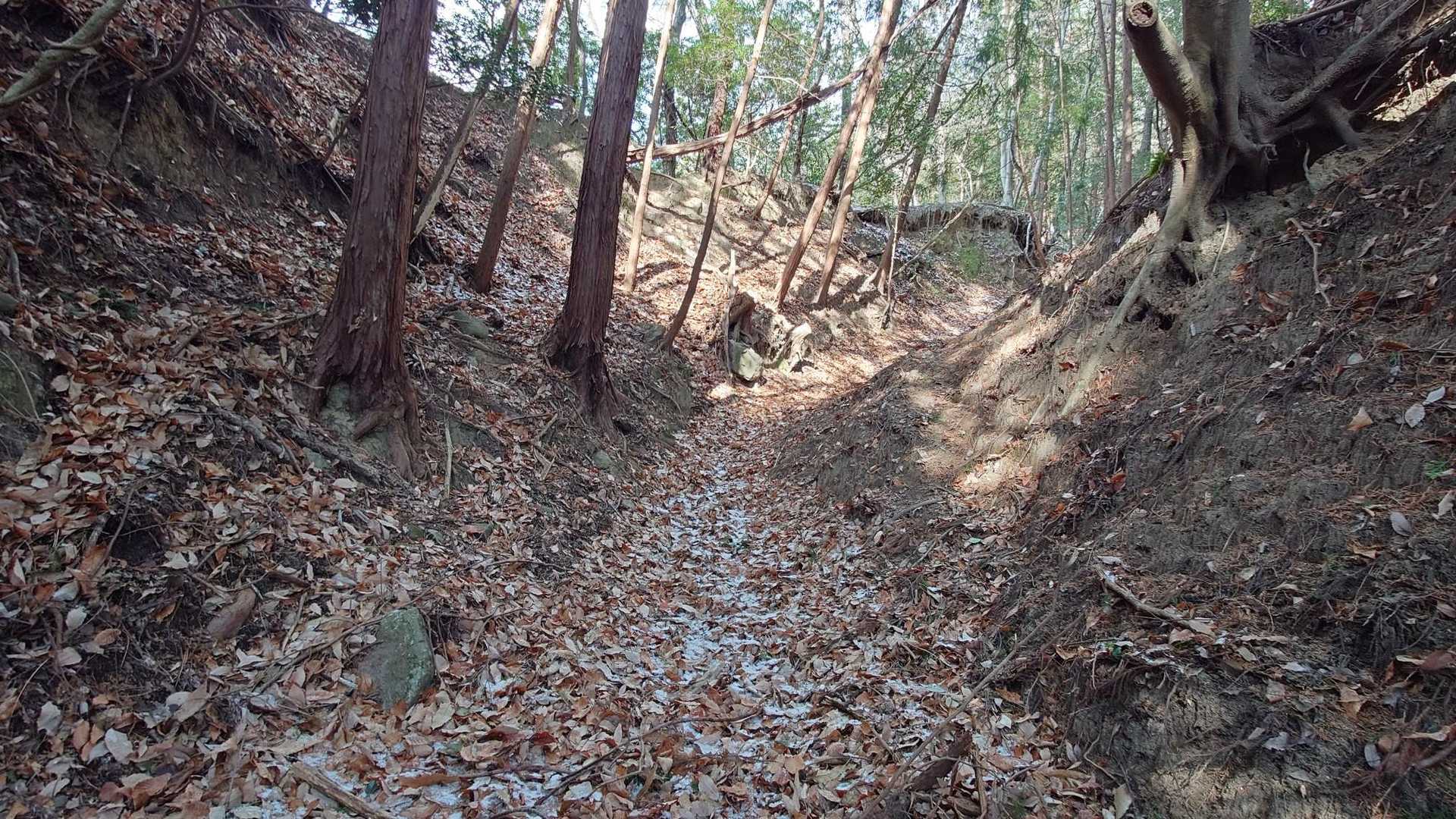 登山道はＵ字溝みたいで､落ち葉🍂🍂が深く堆積していて､ とても登りにくいです😞