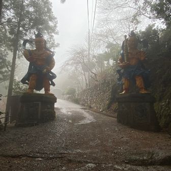 たまに見かけるこの姿