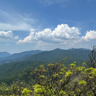 綿向山方面