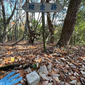 途中に四等三角点「山室」
この先からピンテが増えてきて、安心度がマシマシになりました。急坂続くけど。