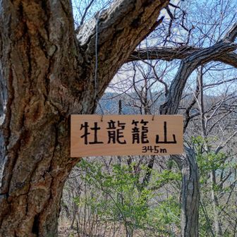 おたつごやま🏕️