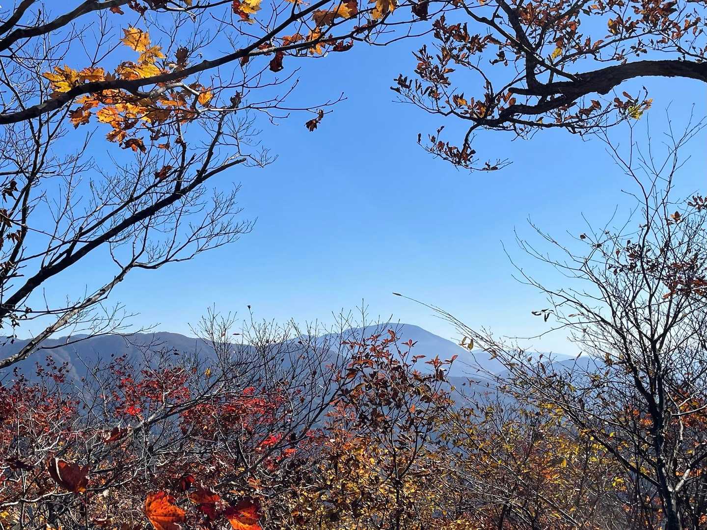 伊吹山