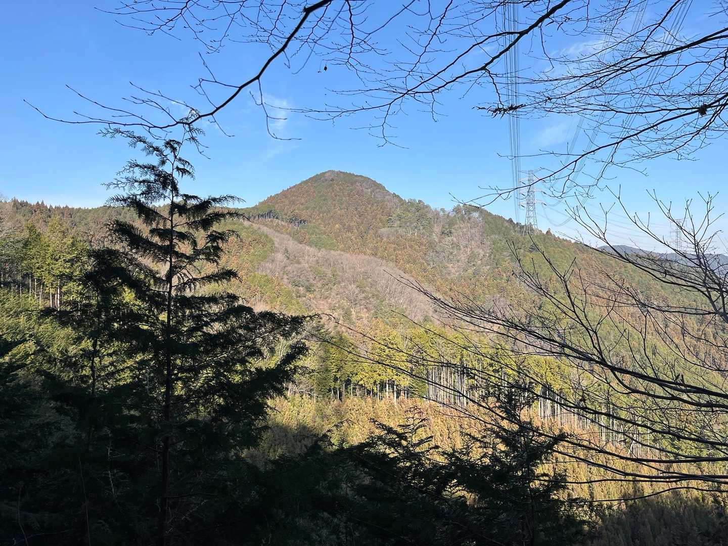 麻生山 美しい
