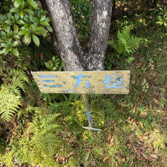 山頂⛰️