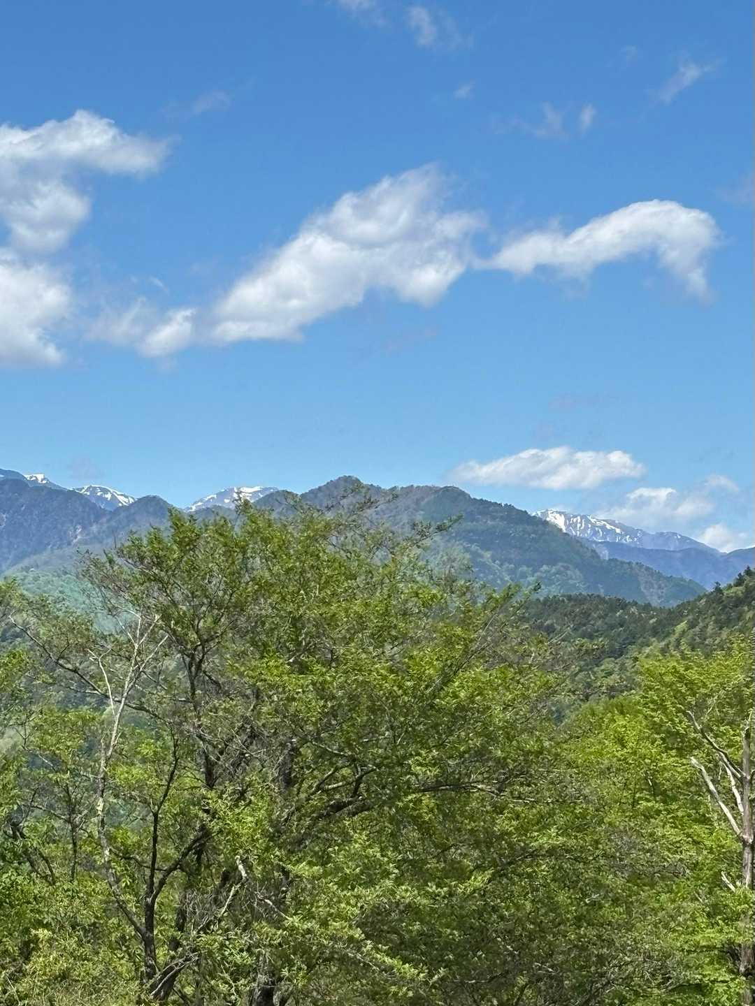  南アルプスを眺めながら‥
のんびり下山します🏔️✨