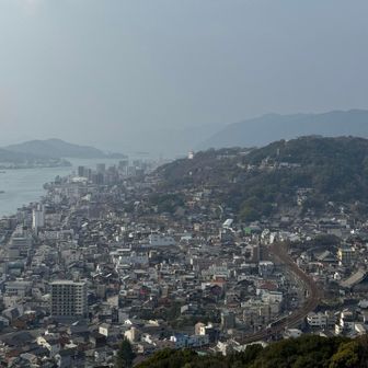 千光寺山⛰️✨