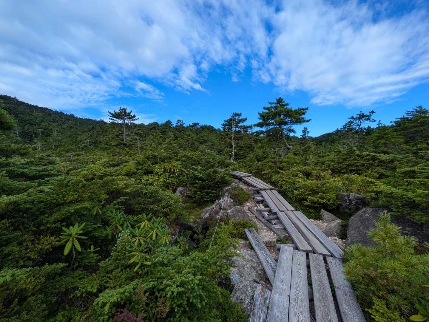 麦草峠-ニュウ 往復コースの写真