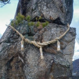 年末に架け替えられたしめ縄
