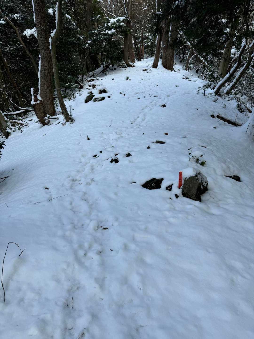 少し雪増えます
