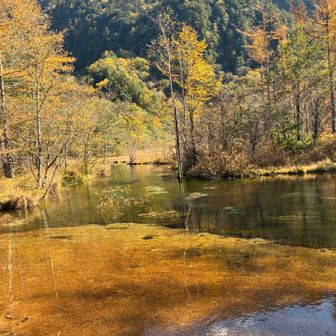 田代池の紅葉🍁