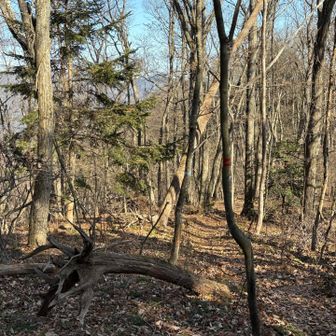 冬の尾根歩き、いいなあ