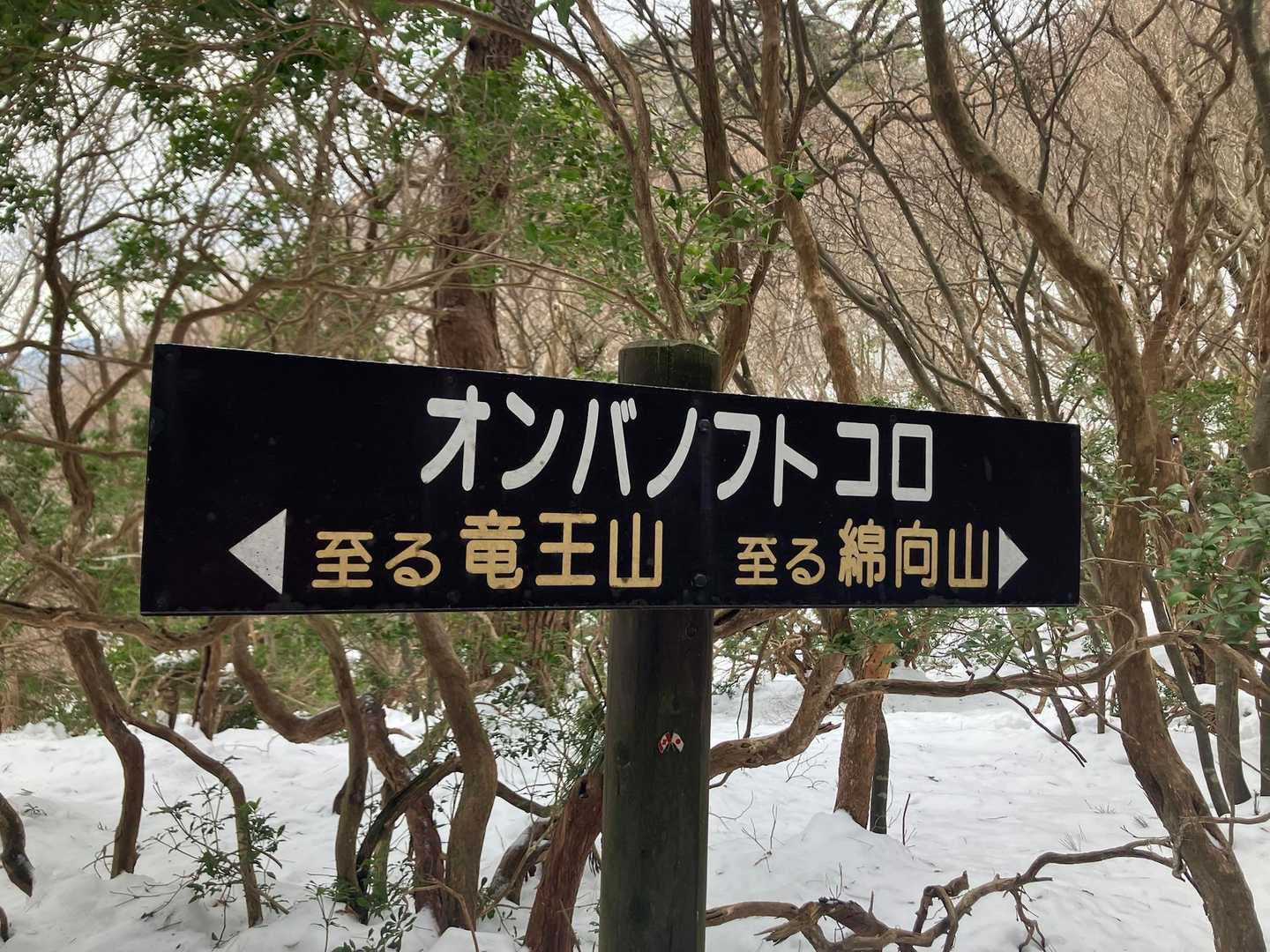 降りで事故のないことを祈り、僕は降ります。あそこまで来たら上までは行けるだろうけど。。