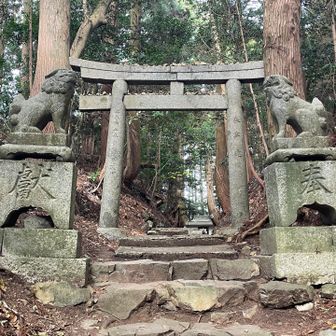 妙見神社一ノ鳥居

狛犬さんがおられると締まりますね☝️
右側のは顔がちょっと欠けちゃってますが💦
安永3年は1774年、奉納が鳥居と同じだったら御歳251。仕方ないかな😅
