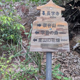 里山の花畑に向かう👈