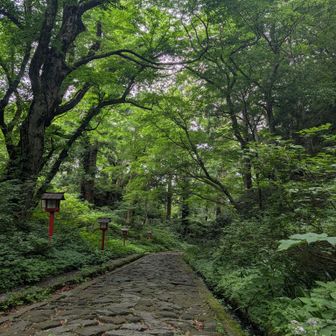 大山寺入り口から大神山神社奥宮まで、約700mにわたって続く自然石で作られた参道。
別名“御幸参道”とも呼ばれるこの道は、｢日本一長い石畳の道｣