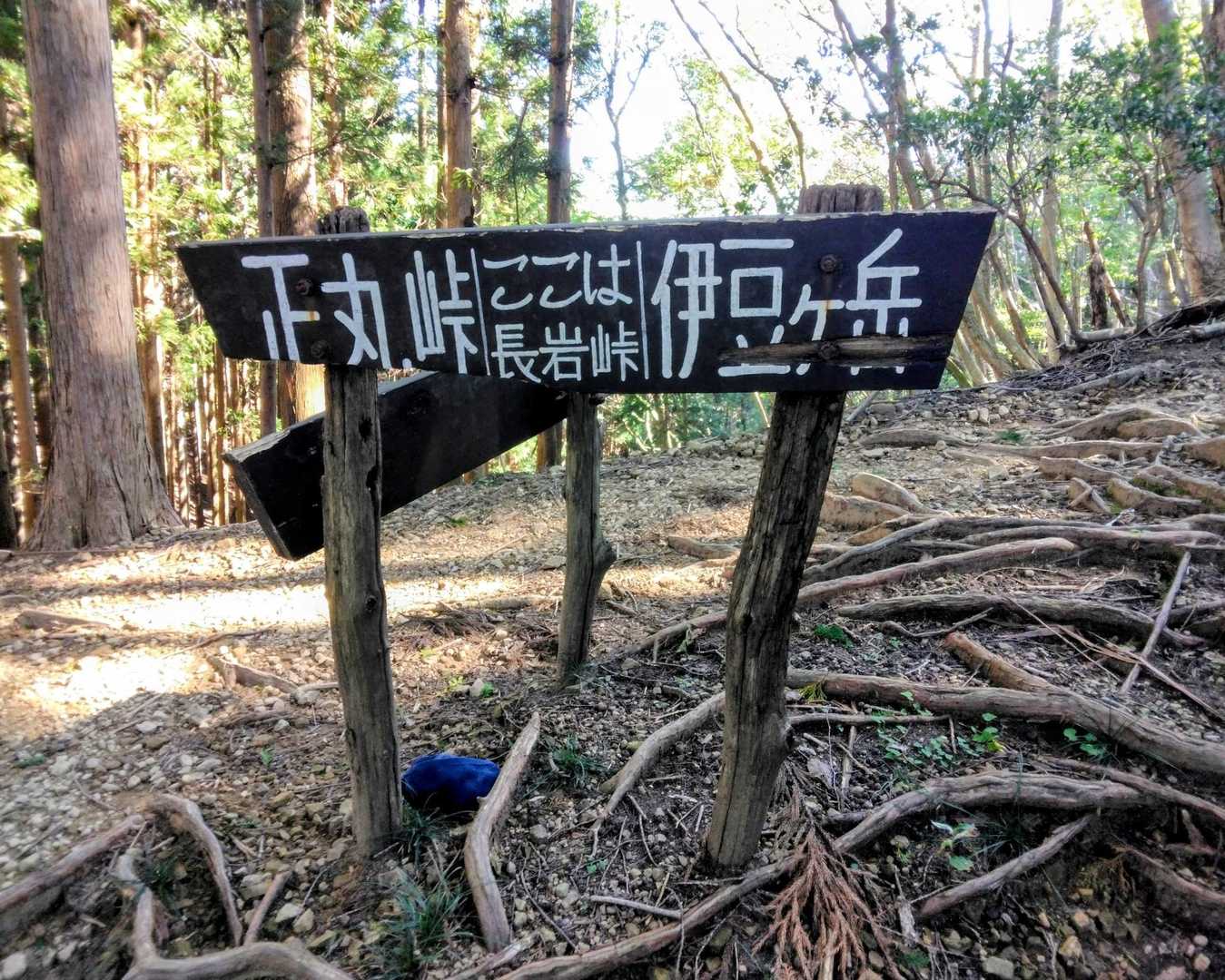 尾根に到着。